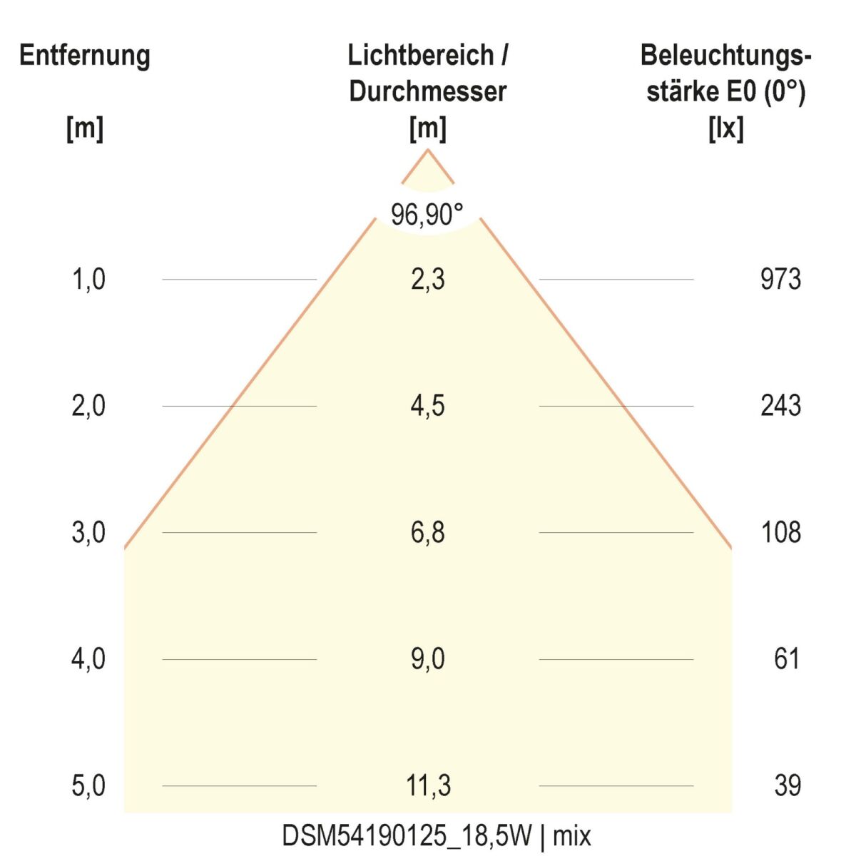 LED-Deckenleuchte DSM54190125