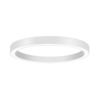LED-Anbau-Ringleuchte 13563174