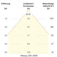 LED-Deckenleuchte DSM54250125