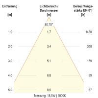 LED-Deckenleuchte DSR54190125