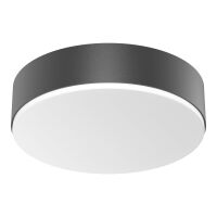 LED-Sensor-Leuchte RSPROA20 SC nw anthr