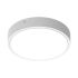 LED-Wand-u.Deckenleuchte BLKHRD250P9.5WCPSWT