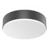 LED-Sensor-Leuchte RSPROA20 SC nw anthr