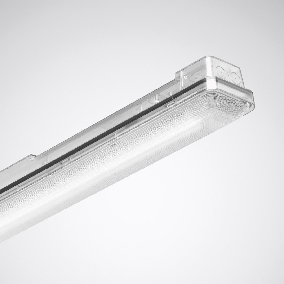 LED-Feuchtraumleuchte AragF 12 P #7417851
