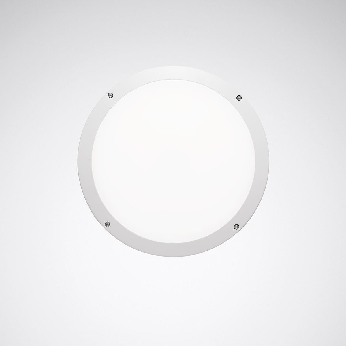 LED-Wand-/Deckenleuchte Skeo Circ M #7578051