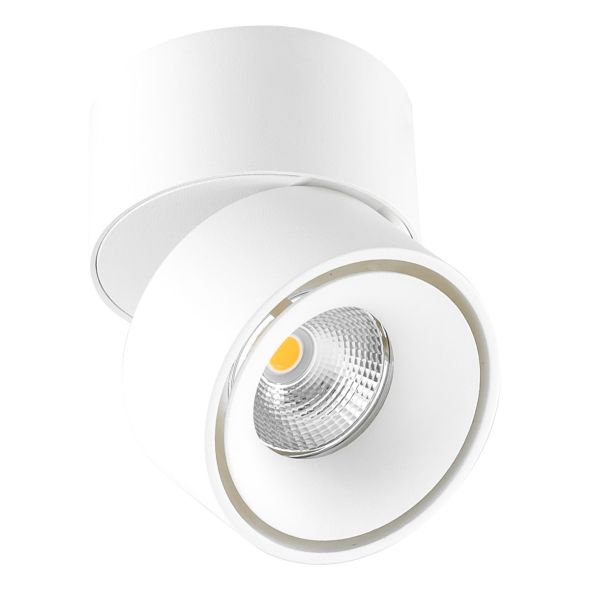 LED-Deckenanbau-Spot AS20090102