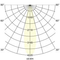 LED 48V Pendel-Leuchte 43140083