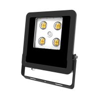 LED-Fluter LFE100902