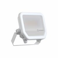 LED-Fluter FL20P17W2K4LM865..WT