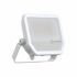LED-Fluter FL50P41W6KLM865..WT