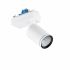LED-Strahler f.Lichtband ST770S 39S #97684200