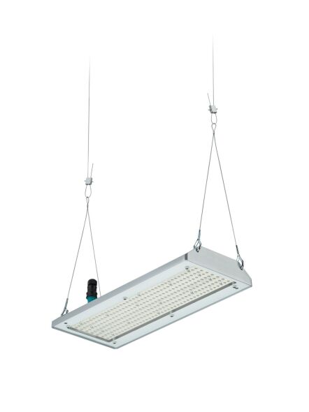 LED-Hallenleuchte BY580P 170 #59430200