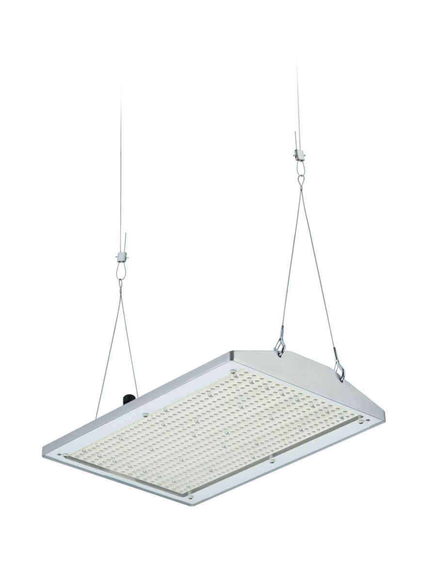 LED-Hallenleuchte BY581P 250 #58923000