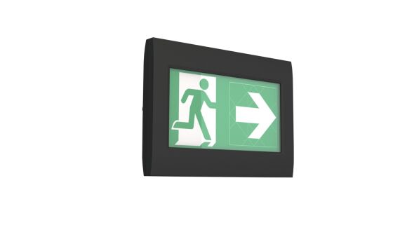 Sicherheitsleuchte FMWD509CC-AZ
