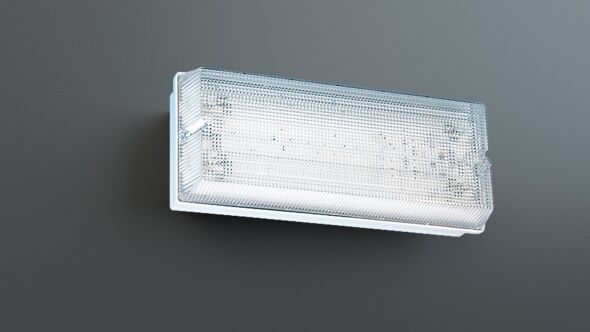 Sicherheitsleuchte PFW418SC-TT