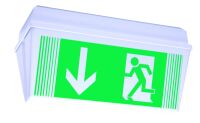 Sicherheitsleuchte PFD418WL