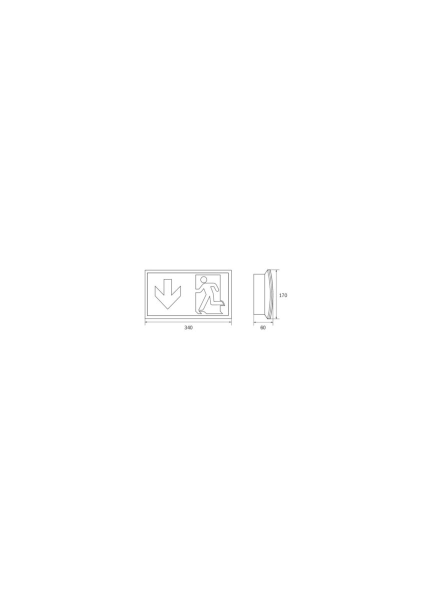 Sicherheitsleuchte KCW413SC-TT