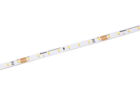 LED-Strip 24V RSTA4281