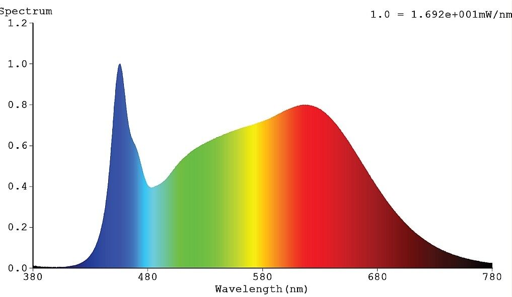 LED-Strip 24V RSTA4283