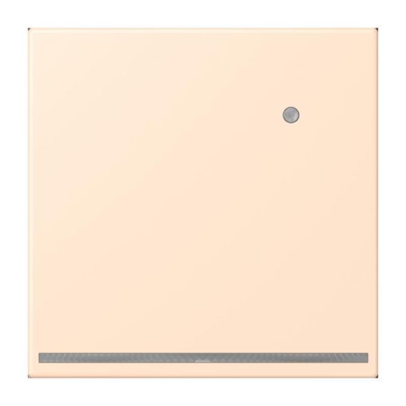 LED-Orientierungslicht LC 1539-O LNW 238