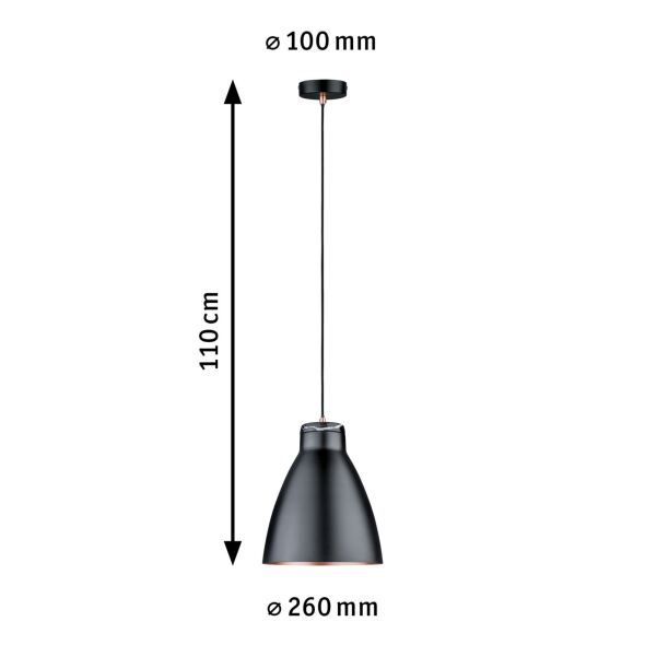 Pendelleuchte 796.09