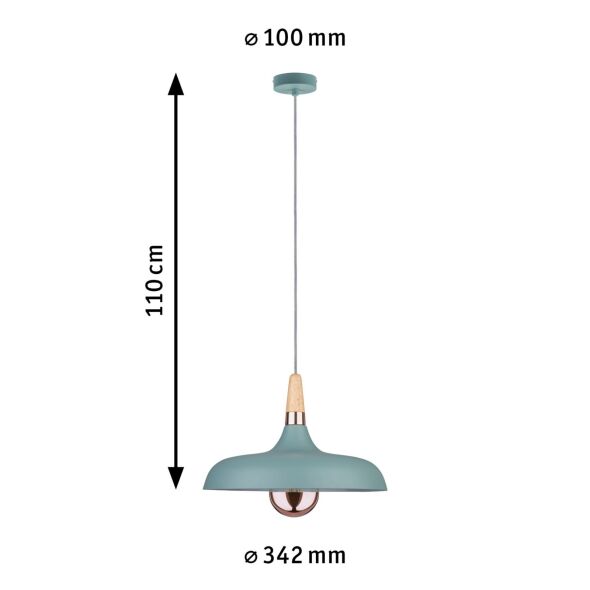 Pendelleuchte 796.55
