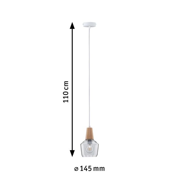 Pendelleuchte 797.45