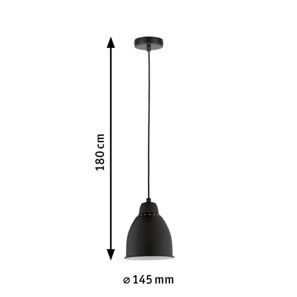 Pendelleuchte 797.63