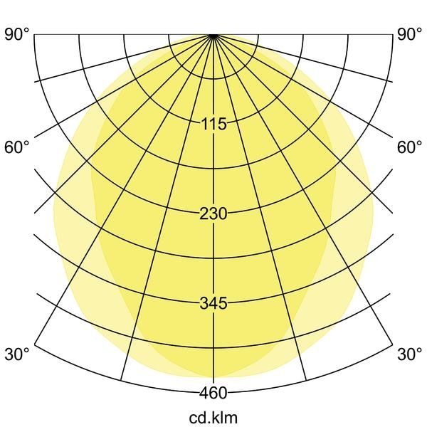 LED-Pendel-Ringleuchte 13536188