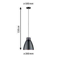 Pendelleuchte 796.09
