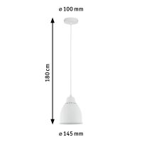 Pendelleuchte 797.64