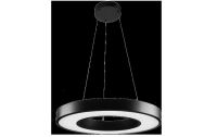 LED-Pendelleuchte 214024