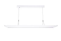 LED-Pendelleuchte AREUM SUSPE #0042967