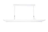 LED-Pendelleuchte AREUM SUSPE #0042968