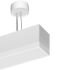 LED-Pendelleuchte MLP070108303AOVDA.ws