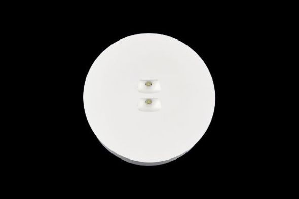 Sicherheitsleuchte Brightway CBS SPOT