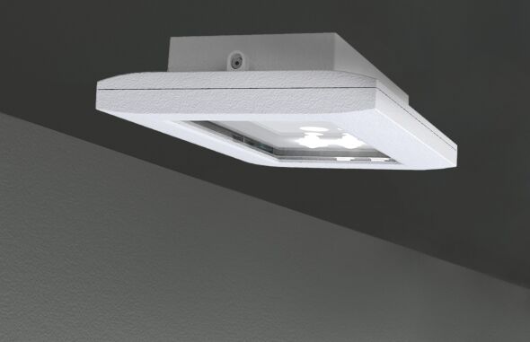 Sicherheitsleuchte FMDS428SC
