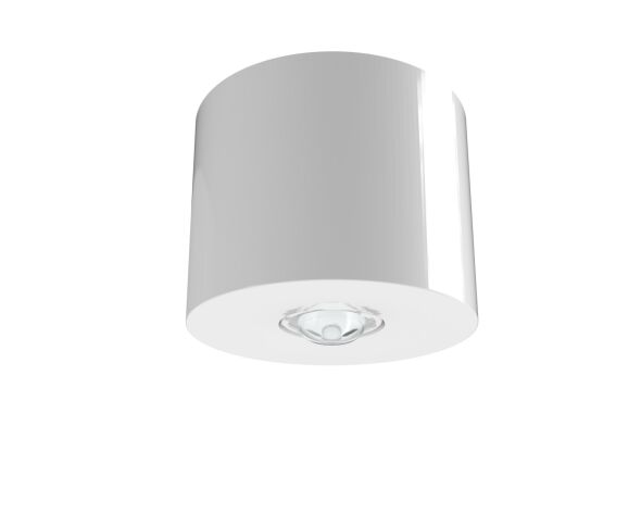 Sicherheitsleuchte IADL529CC