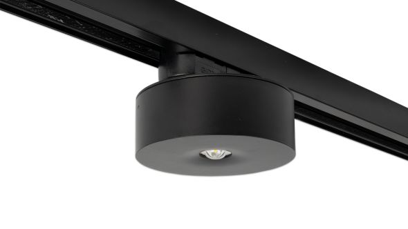 Sicherheitsleuchte ILDL421SC-SW-3P