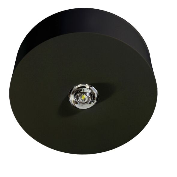 Sicherheitsleuchte ILDL529CC-SW