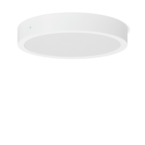 LED-Anbaudownlight 672785.002