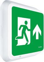 Rettungszeichenleuchte Voy Square #96635040