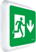 Rettungszeichenleuchte Voy Square #96635073