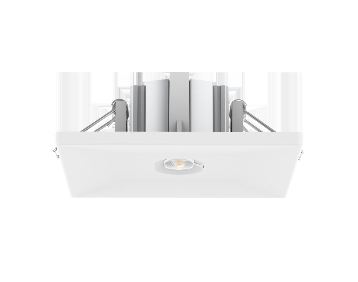 LED-Sicherheitsleuchte LEDEM-S#572005004100