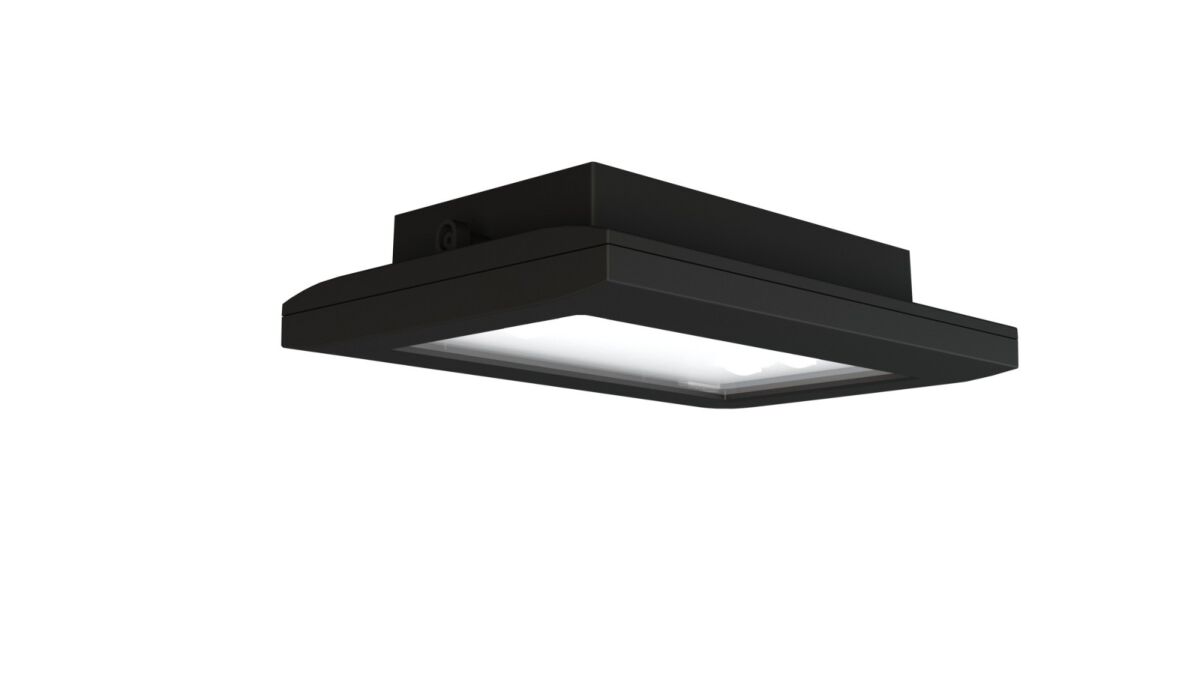 Sicherheitsleuchte FMDS428SC-TT-AZ
