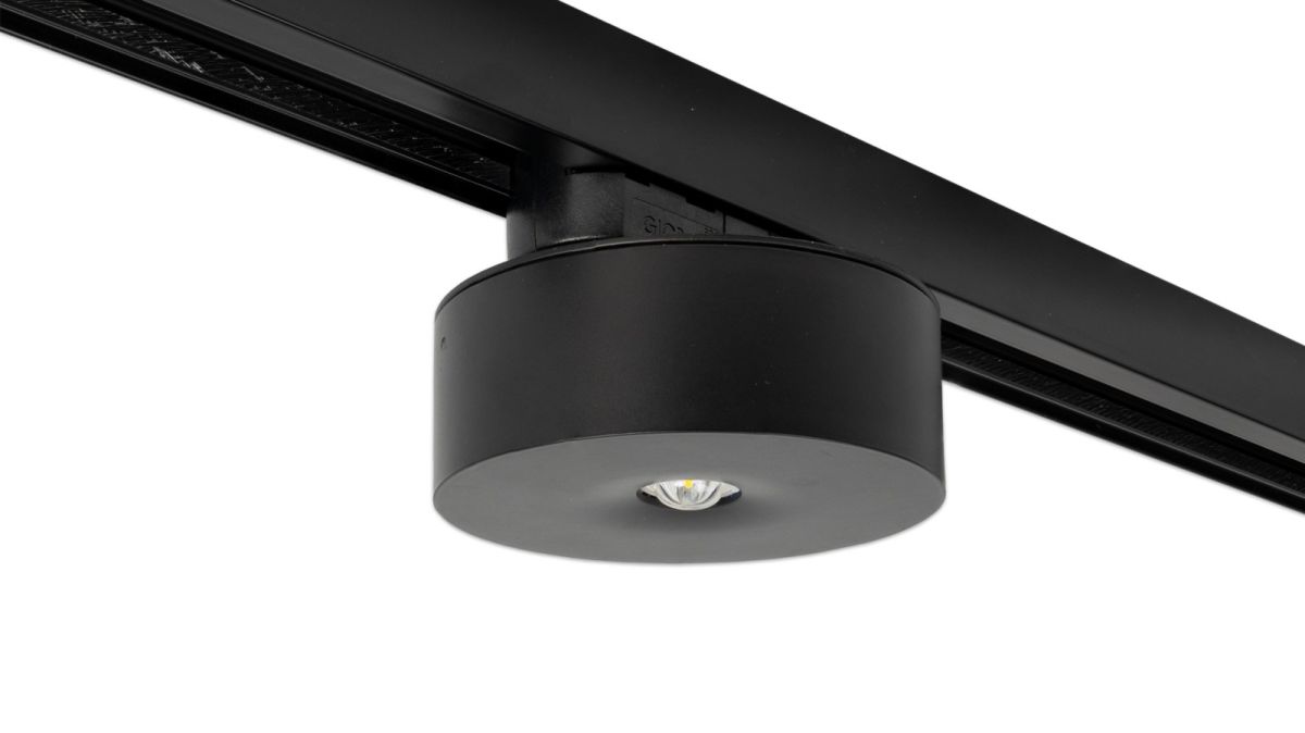 Sicherheitsleuchte ILDL421SC-SW-3P