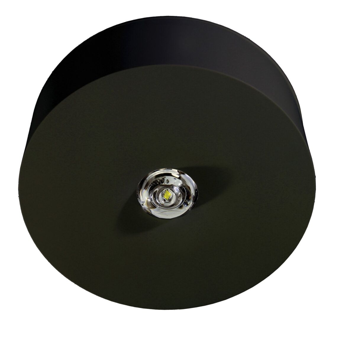 Sicherheitsleuchte ILDL529CC-SW