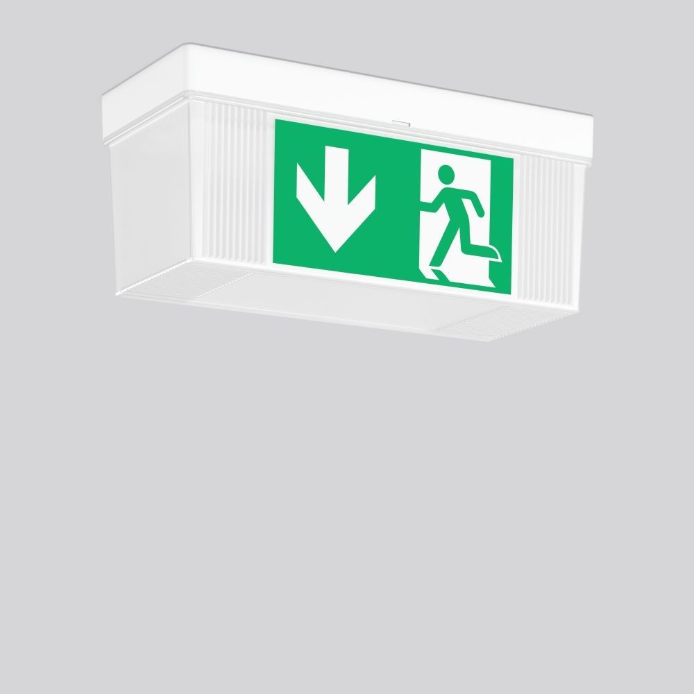 LED-Sicherheitsleuchte 671819.002.2