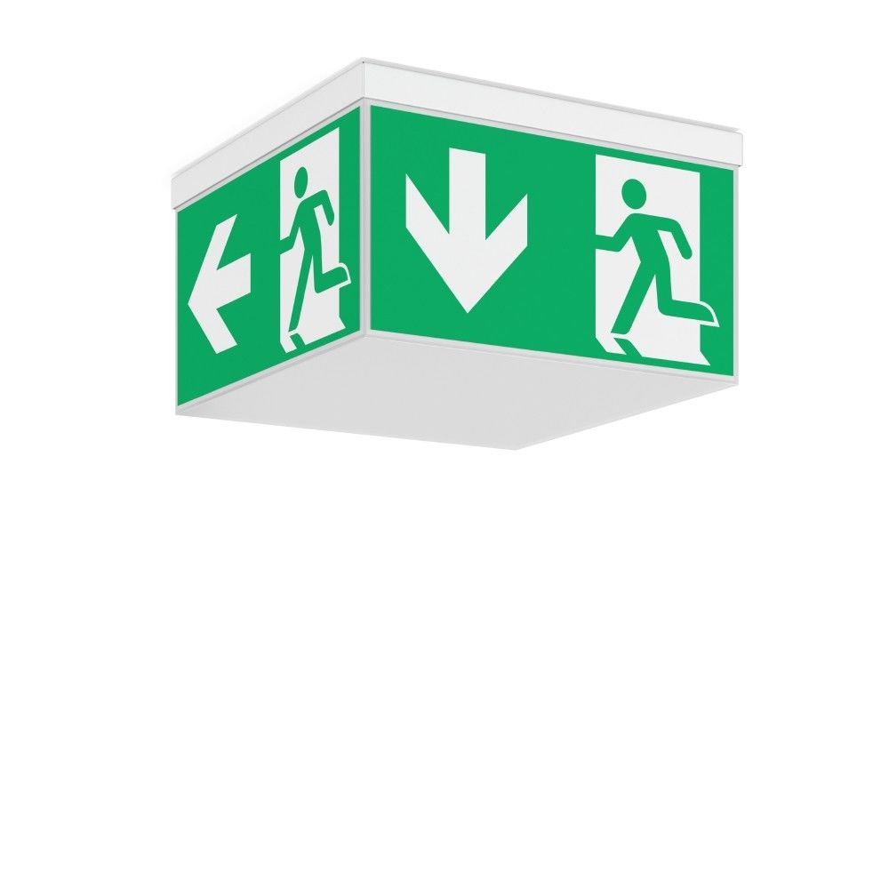 LED-Sicherheitsleuchte 672300.002.1