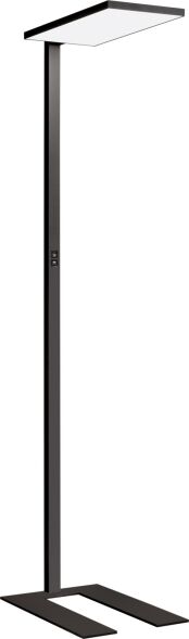 LED-Stehleuchte CF2ABX835HL600UASOFT
